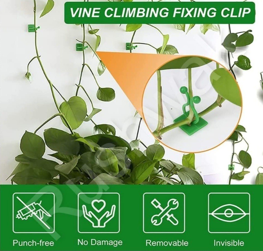 Self-Adhesive Plant Climbing Wall Clips - Best for Climber Plants - Support Binding Clips(Set of 30)