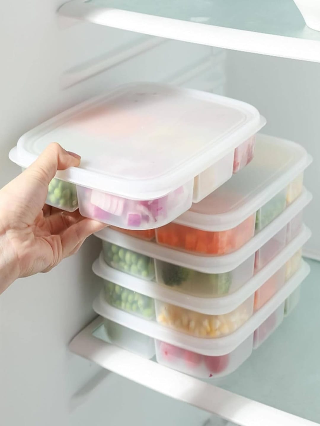 Big Size Air Tight 6 Compartment Fridge Food Storage box - Heavy Quality with Flexible Lid- (Size : 24x19x4 cms)