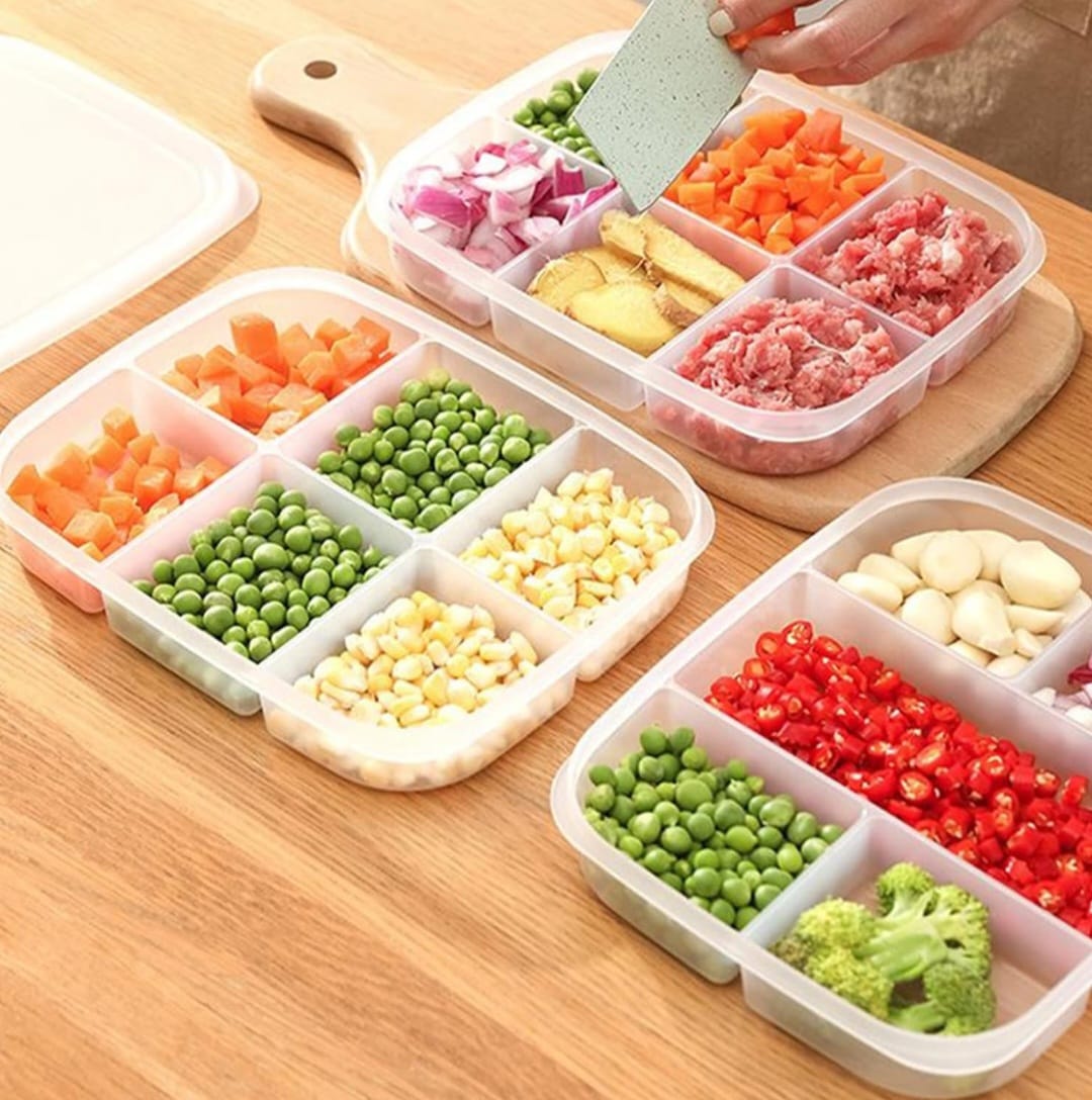 Big Size Air Tight 6 Compartment Fridge Food Storage box - Heavy Quality with Flexible Lid- (Size : 24x19x4 cms)